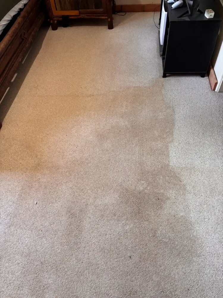 Bedroom carpet part-cleaned, showing the line between cleaned and uncleaned